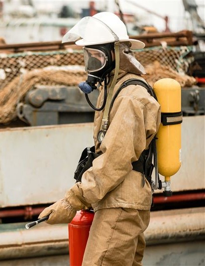 Why Ship Pest Control is Important